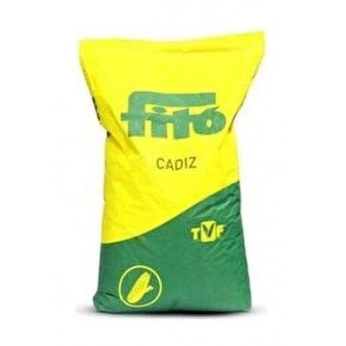 Fito Semillas Mısır tohumu CADIZ 50.000 tane Fito Semillas Mısır tohumu CADIZ 50.000 tane