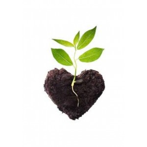 Organik Doğal Bitki Gübresi Toprak Düzenleyici Gübre 10 Kg