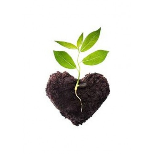 Organik Doğal Bitki Gübresi Toprak Düzenleyici Gübre 5 Kg