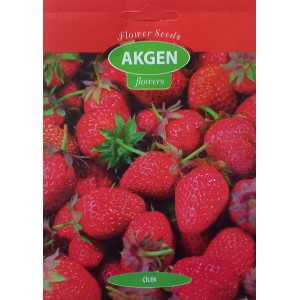 Akgen Flower - Çilek Tohumu 