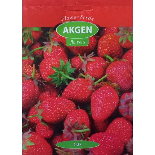 Akgen Flower - Çilek Tohumu 