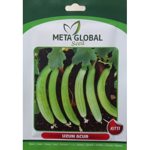 Meta Global Seed - Acur Uzun Kıtti 10 gr