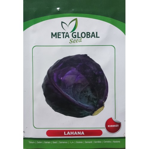 Meta Global Seed - Lahana Kırmızı Zencibaş 10 gr