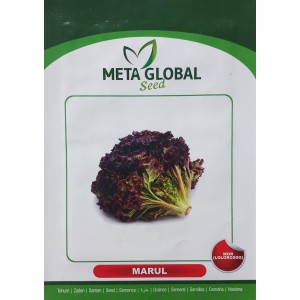 Meta Global Seed - Marul Mor Lolorosso karadeniz 2 gr