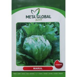 Meta Global Seed - Marul Iceberg 5 gr