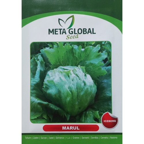 Meta Global Seed - Marul Iceberg 5 gr