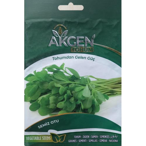 Meta Global Seed - Semizotu 5 gr