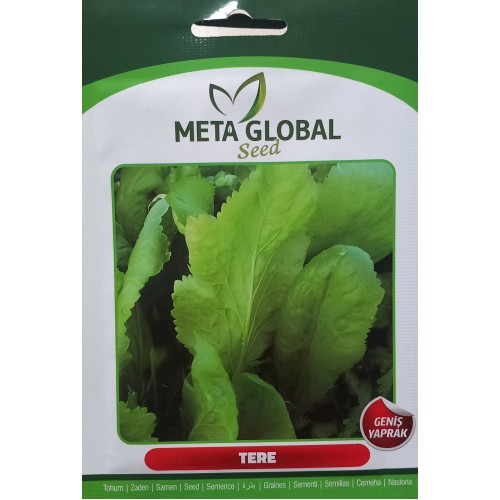 Meta Global Seed - Tere Geniş Yaprak 5 gr