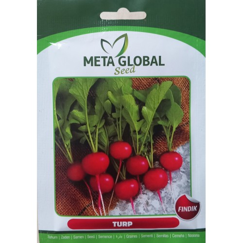 Meta Global Seed - Turp Fındık 10 gr