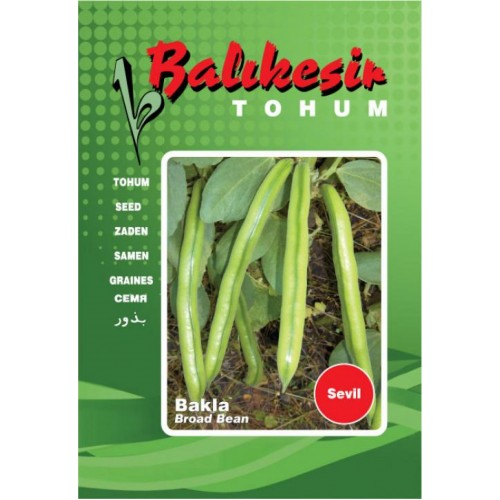 BAKLA SEVİL (SEVİLLA) 100 GR