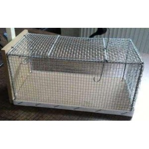 Fare-Sansar Kemirgen Tuzağı - Fare Kapanı Sunta Büyük Boy ( Lağım Faresi )