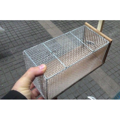 Fare Sansar Tuzağı - Fare Kapanı Sunta Küçük Boy ( fındık faresi )