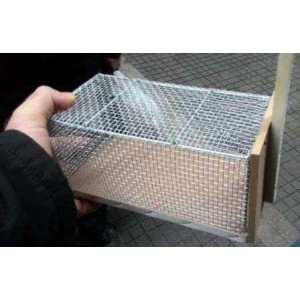 Fare Sansar Tuzağı - Fare Kapanı Sunta Küçük Boy ( fındık faresi )