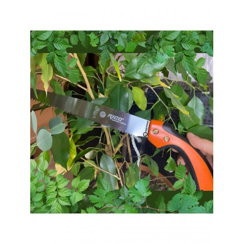 Rico 018-RC2504 Orta Diş Budama Testeresi 25cm - Bahçe Budama ve Zeytin Hasadı İçin Profesyonel Testere