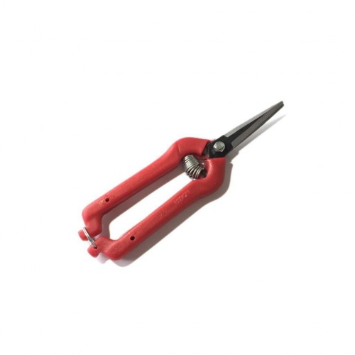 Meyve Toplama Makası Ekonomik (Üzüm,Çilek,Narenciye)