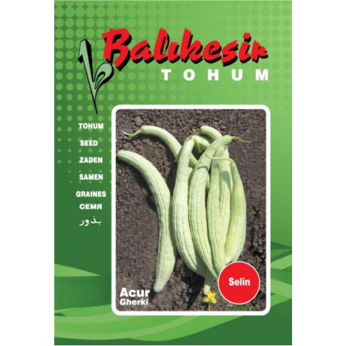 Balıkesir Acur Tohumu - Selin - 500 gr Teneke - Sebze Tohumu