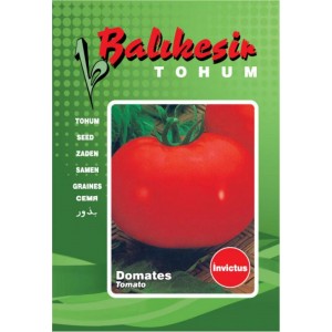 Domates Tohumu İNVİCTUS Balıkesir 100 gr Teneke - Sebze Tohumu