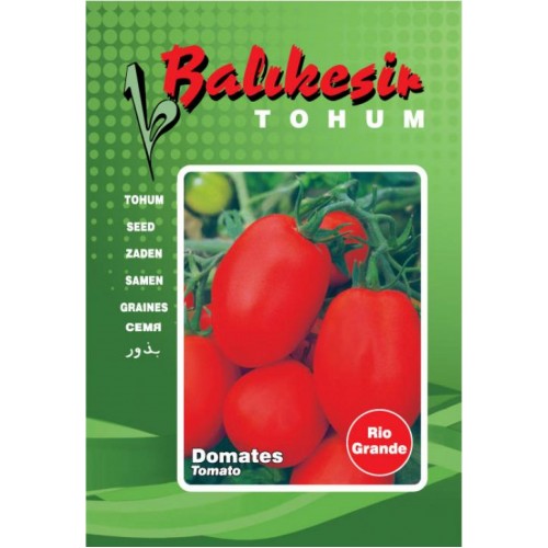 Domates Tohumu RİO GRANDE Balıkesir 500 gr Teneke - Sebze Tohumu