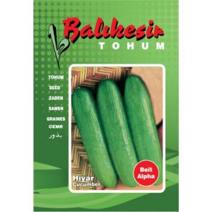 Salatalık Tohumu Balıkesir 10 gr paket - Sebze Tohumu