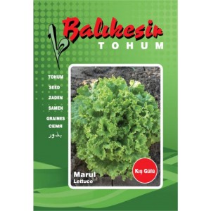 Marul Tohumu (Yedikule) Balıkesir 10 gr paket - Sebze Tohumu